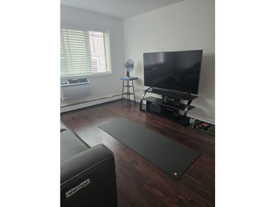Bright and well-maintained 2-bed, 2-bath condo in the heart of - photo 5