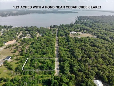 Lake Lot For Sale in Gun Barrel City, Texas