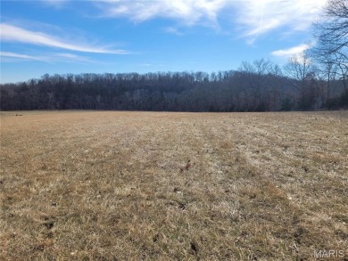 (private lake, pond, creek) Acreage Under Contract in Troy Missouri