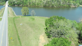 Lake Lot Off Market in Wedowee, Alabama