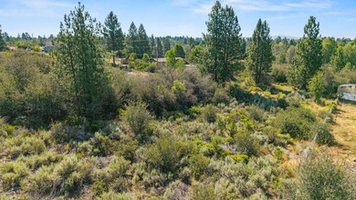 Don't miss your opportunity to secure deeded access to a private - photo 15