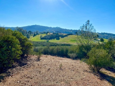 New Hogan Lake Acreage For Sale in Valley Springs California