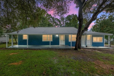 Lake Home For Sale in Ocklawaha, Florida