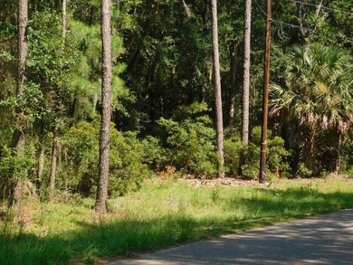 2.67 Acre Estate Size property in the desirable Neck Subdivision - photo 1