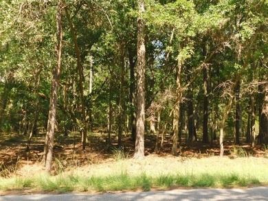 2.67 Acre Estate Size property in the desirable Neck Subdivision - photo 2