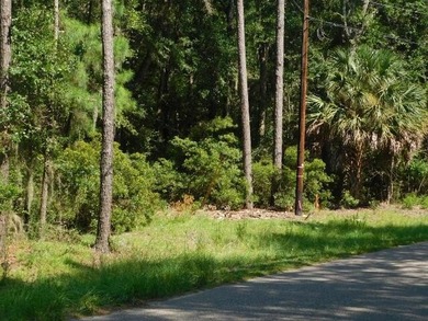 2.67 Acre Estate Size property in the desirable Neck Subdivision - photo 3