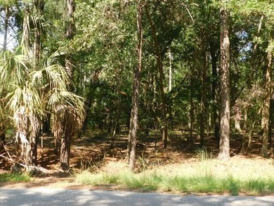2.67 Acre Estate Size property in the desirable Neck Subdivision - photo 4