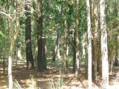 2.67 Acre Estate Size property in the desirable Neck Subdivision - photo 5