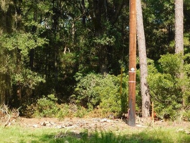 2.67 Acre Estate Size property in the desirable Neck Subdivision - photo 6