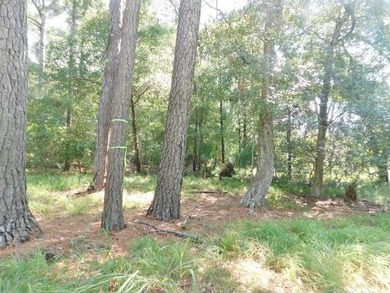 2.67 Acre Estate Size property in the desirable Neck Subdivision - photo 7
