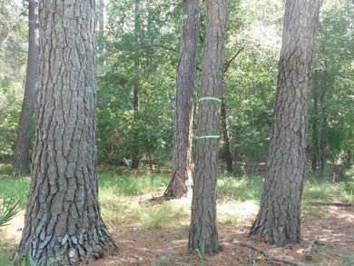 2.67 Acre Estate Size property in the desirable Neck Subdivision - photo 8