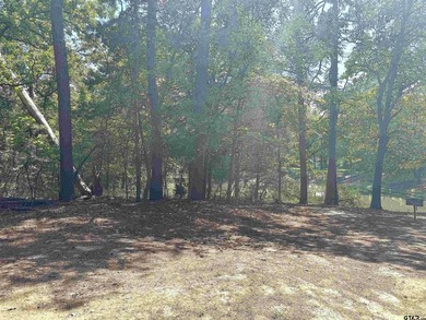 This fantastic lot in the sought-after Tall Tree community. Tall - photo 1