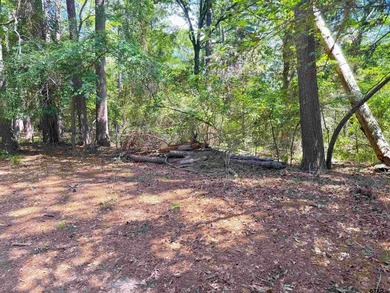 This fantastic lot in the sought-after Tall Tree community. Tall - photo 2