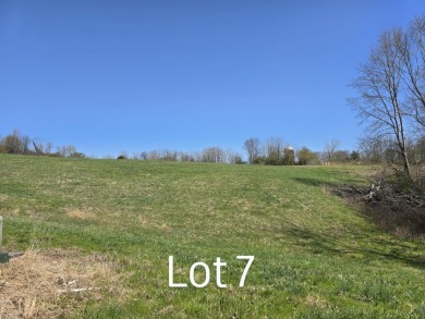 Lake Lot For Sale in Birchwood, Tennessee