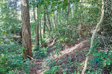 Spacious 110' x 80' wooded lot with peaceful creek frontage - photo 12