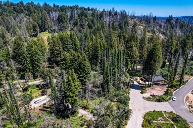 Rare opportunity to own approximately 0.26 acres of vacant land - photo 13