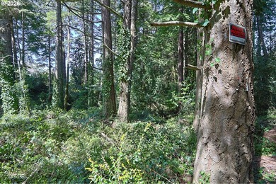 Spacious 110' x 80' wooded lot with peaceful creek frontage - photo 13