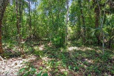 1.25 acres Located in Ferndale with a Clermont address.... there - photo 14
