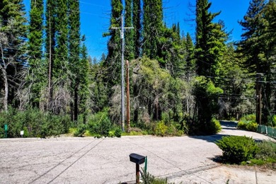 Rare opportunity to own approximately 0.26 acres of vacant land - photo 15