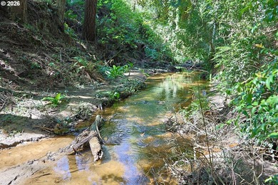 Spacious 110' x 80' wooded lot with peaceful creek frontage - photo 16