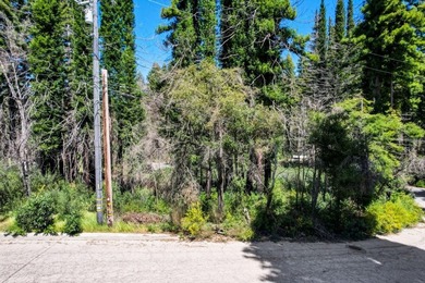 Rare opportunity to own approximately 0.26 acres of vacant land - photo 17