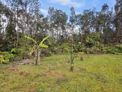 Set behind a gated driveway and surrounded by tropical greenery - photo 20