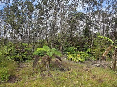 Set behind a gated driveway and surrounded by tropical greenery - photo 21