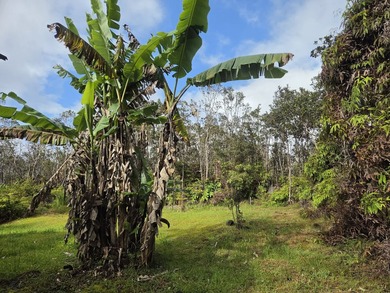 Set behind a gated driveway and surrounded by tropical greenery - photo 23
