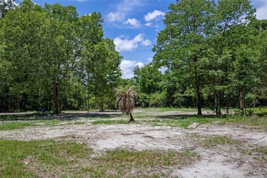 1.25 acres Located in Ferndale with a Clermont address.... there - photo 35