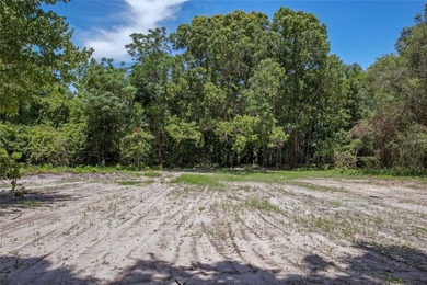 1.25 acres Located in Ferndale with a Clermont address.... there - photo 38