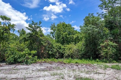 1.25 acres Located in Ferndale with a Clermont address.... there - photo 39