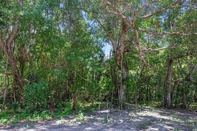 1.25 acres Located in Ferndale with a Clermont address.... there - photo 40