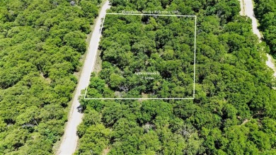 Lake Lot For Sale in Nocona, Texas