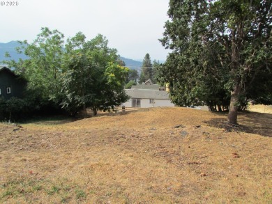 Columbia River - Klickitat County Lot For Sale in Whitesalmon Washington