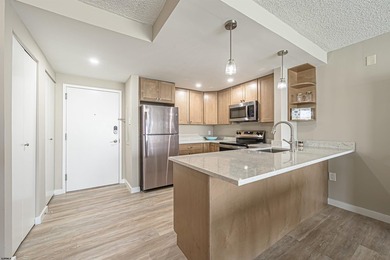 TOTALLY REDONE! ALL ASSESSMENTS PAID! This gorgeous condo has