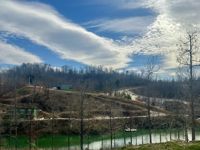 LAKE FRONT BUILDING LOT ON WOOD CREEK LAKE - photo 6