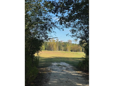(private lake, pond, creek) Lot For Sale in Samson Alabama