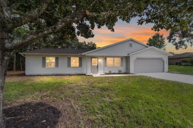 Lake Home For Sale in Ocala, Florida