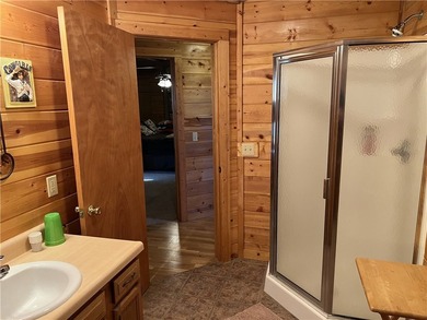 Secluded 3BR-2BA rustic Ozark Mountain log cabin on 15.93 acres - photo 17