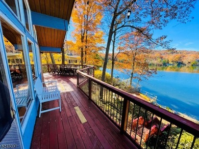 This exceptionally charming fully furnished lake-house is - photo 23