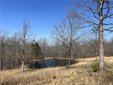 Secluded 3BR-2BA rustic Ozark Mountain log cabin on 15.93 acres - photo 31