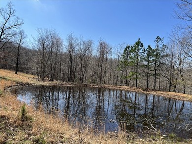 Secluded 3BR-2BA rustic Ozark Mountain log cabin on 15.93 acres - photo 32