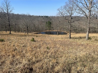 Secluded 3BR-2BA rustic Ozark Mountain log cabin on 15.93 acres - photo 33