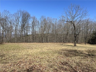 Secluded 3BR-2BA rustic Ozark Mountain log cabin on 15.93 acres - photo 35