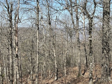 Secluded 3BR-2BA rustic Ozark Mountain log cabin on 15.93 acres - photo 36