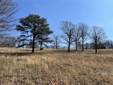 Secluded 3BR-2BA rustic Ozark Mountain log cabin on 15.93 acres - photo 37