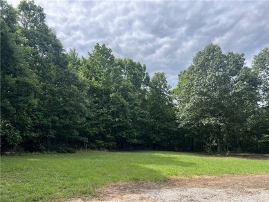 Secluded 3BR-2BA rustic Ozark Mountain log cabin on 15.93 acres - photo 38