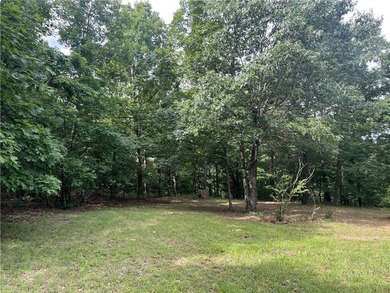 Secluded 3BR-2BA rustic Ozark Mountain log cabin on 15.93 acres - photo 40