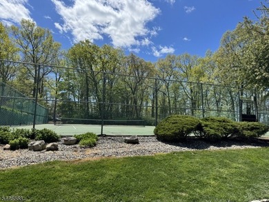 Welcome to desirable Overlook Village! This multilevel - photo 40