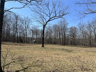 Secluded 3BR-2BA rustic Ozark Mountain log cabin on 15.93 acres - photo 41